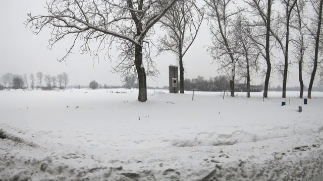 冬天开车时可以看到雪地和光秃秃的树枝视频素材