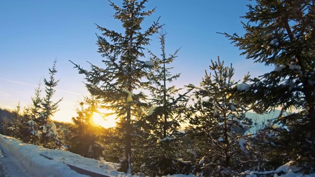 POV车辆行驶在美丽的冬季自然，森林常青树与雪和夕阳照耀地平线视频素材