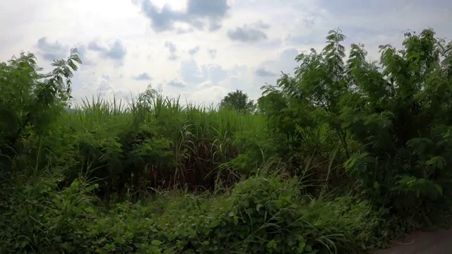 在乡村道路上驾驶视频素材