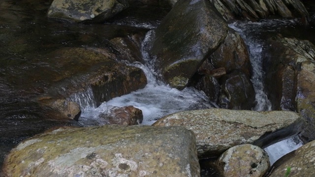 小溪流水-小河(点击查看)视频素材