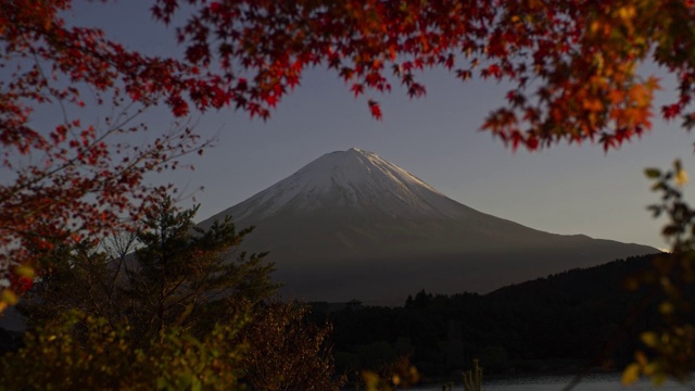 日本富士山上樱花盛开的宁静景象。视频下载