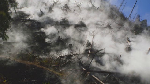 日本富士山附近森林起火视频素材