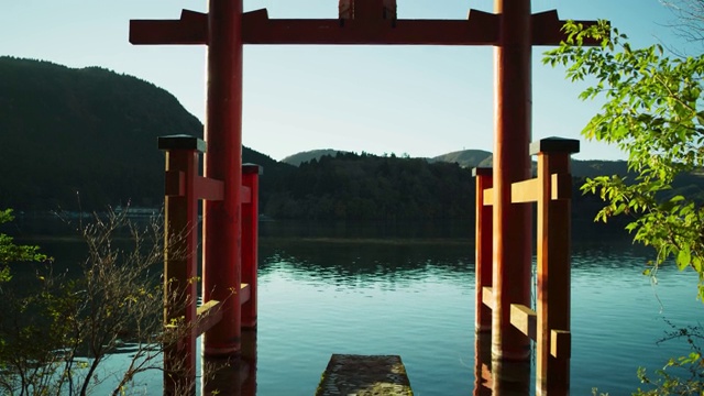 日本富士山附近的湖边结构视频素材