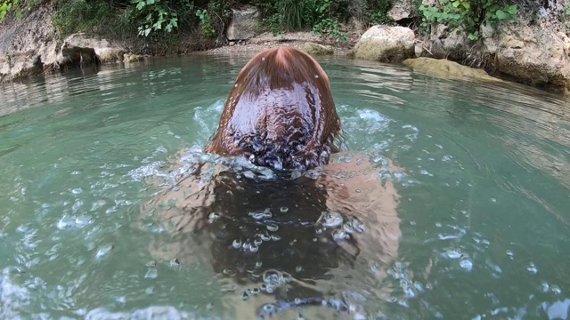 美丽的女孩在阳光明媚的日子里在河里游泳视频下载