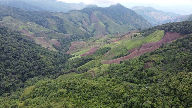 一个美丽的热带雨林山脉由无人机视频素材