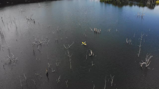 皮划艇从上面俯瞰着海景。运动皮艇，在湖面上泛舟，水面平静一天。游客在海湾上划独木舟。鸟瞰图无人机拍摄。视频素材