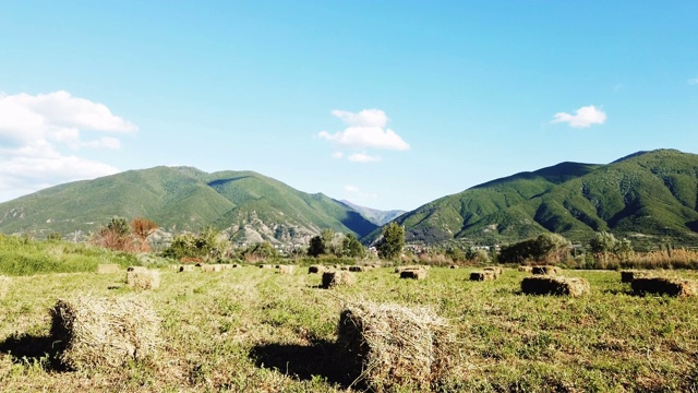 用稻草包收割的田地视频素材