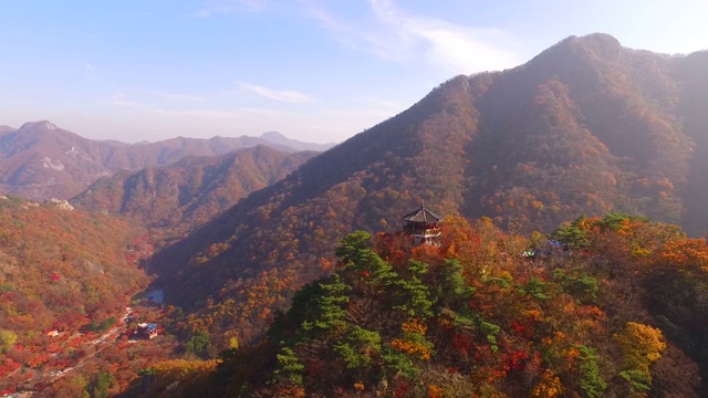 韩国全拉岛naejangsanmountain / jeongepu -si枫树的秋叶视频素材