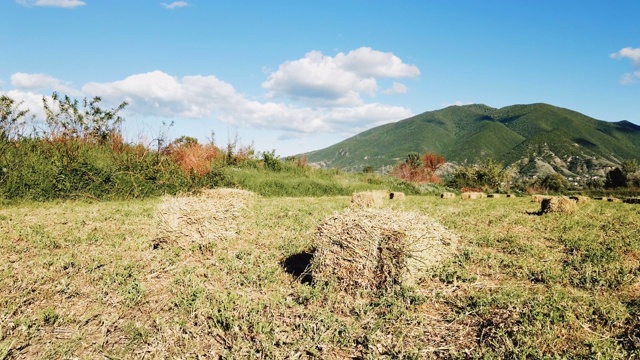 田里的稻草捆视频素材