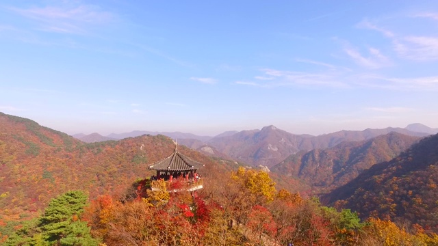 韩国全拉岛naejangsanmountain / jeongepu -si枫树的秋叶视频素材