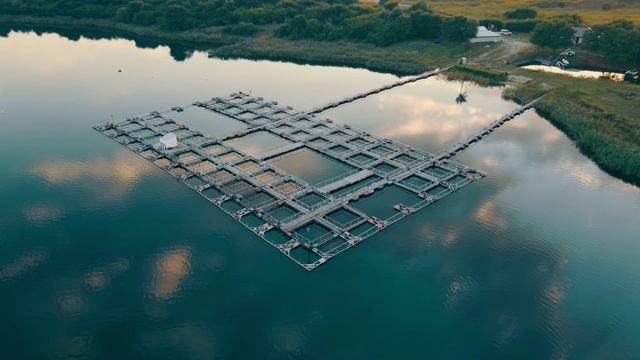 有淡水的湖养鱼场，养殖鳟鱼、鲤鱼或鲑鱼作为商业食物。从日落时鸟瞰视频素材