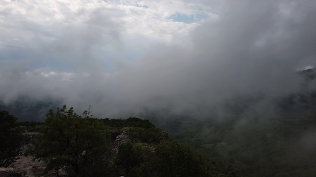 森林山在低空云雾与树木在一个风景优美的景观视图视频素材