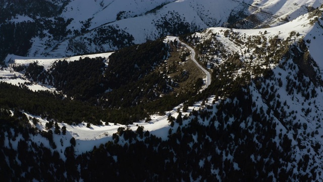 安道尔比利牛斯山的积雪山坡上长满了针叶林视频素材