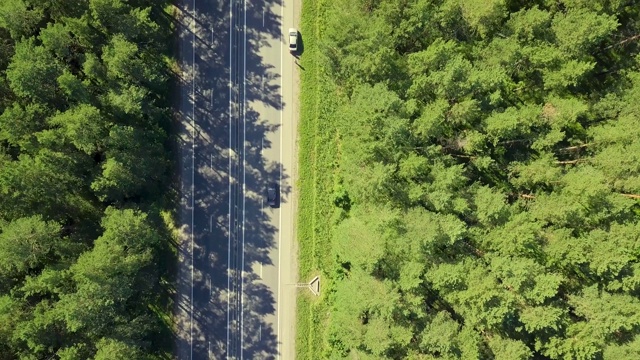 空中飞行:在森林中的高速公路上飞行。垂直向下看过往的汽车、卡车。视频素材