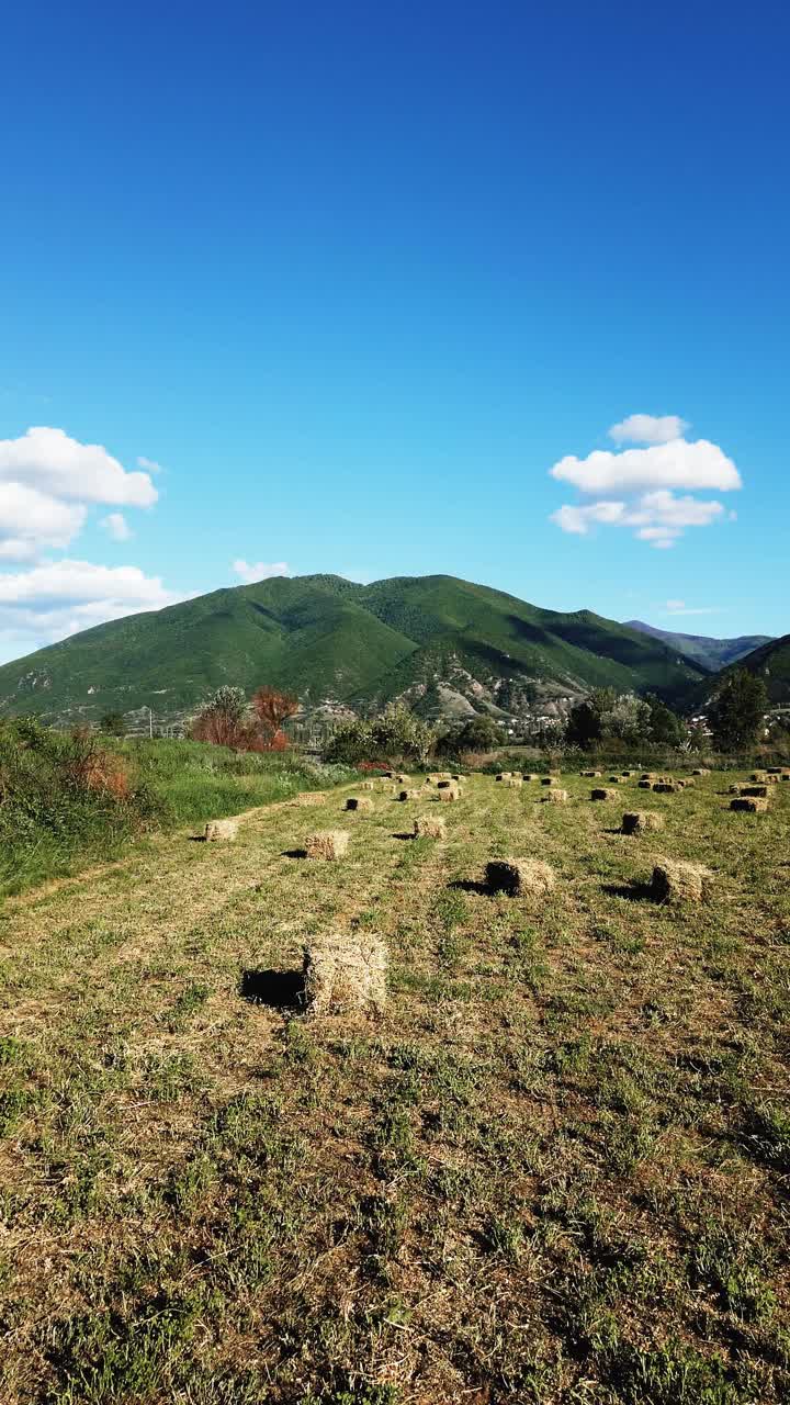 金色田野与稻草包的全景，垂直方向视频素材