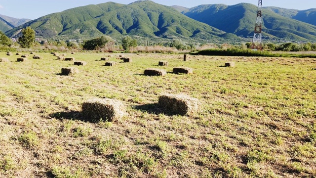 稻草圆捆躺在巨大的残茬地里。视频素材