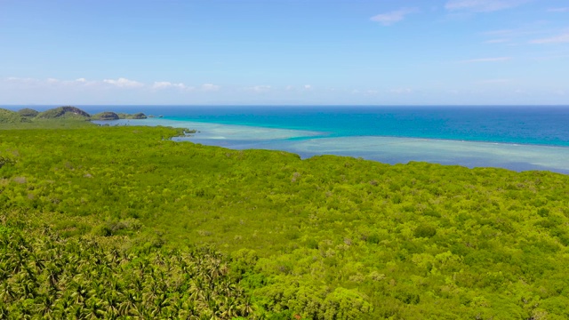 海岸有红树林和大海。保和、菲律宾视频素材