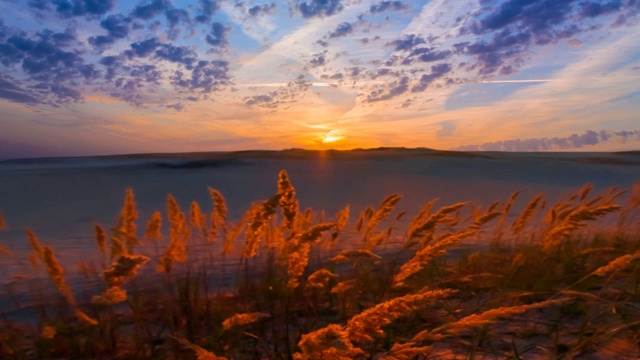 沙质草原上的夕阳，黄昏时分户外时光流逝的景象视频素材