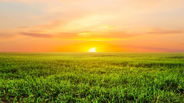 美丽的绿色田园在夕阳下，傍晚乡村时光流逝的景象视频素材