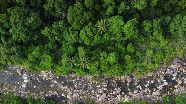 鸟瞰图的景观山溪瀑布流过岩石通过绿色植物在森林。视频素材