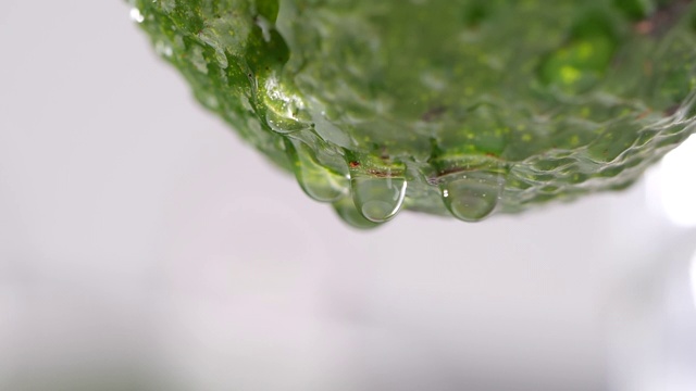 水滴从鳄梨在慢镜头，鳄梨特写视频素材