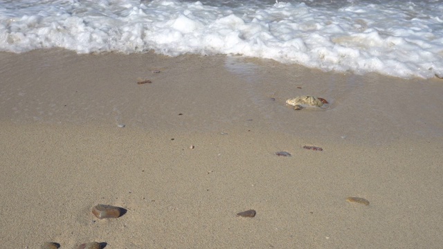 海浪在海滩上，岩石和白色的沙子，Koh Larn，春武里，泰国视频素材