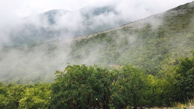 浓雾和薄雾形成层层山脊视频素材