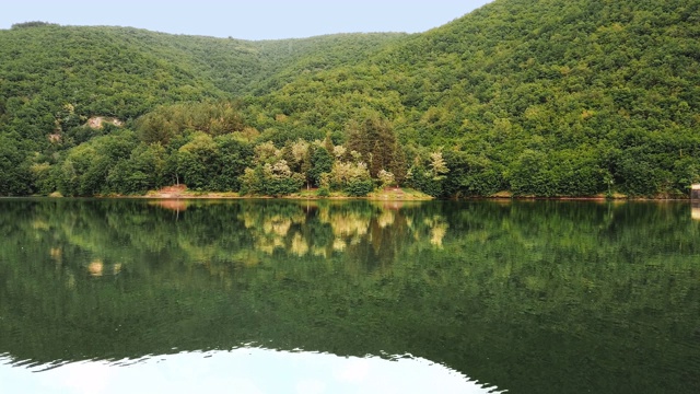 瑞士的森林和绿松石湖。森林和水面反射。美丽的风景在夏天的时间视频素材