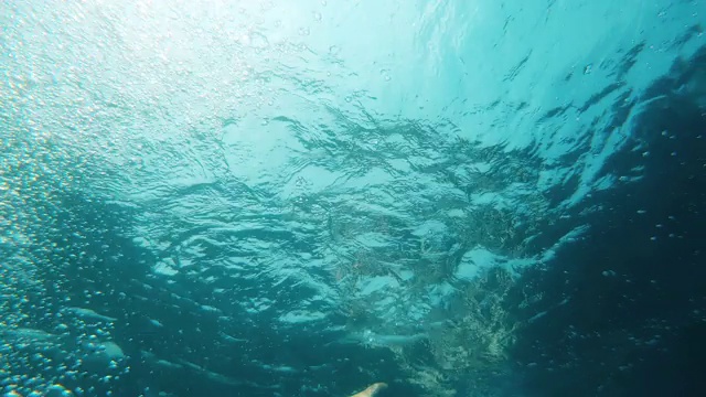 那个女人正在水里游泳。摄像机在水下。视频素材