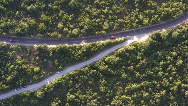 鸟瞰图的乡村道路通过冷杉林在夏天视频素材