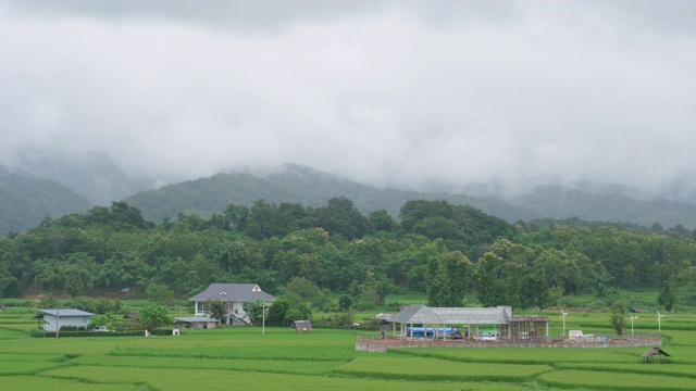 鸟瞰图的稻田Pua区，南省，泰国视频素材