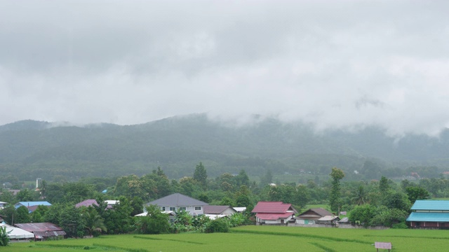 鸟瞰图的稻田Pua区，南省，泰国视频素材