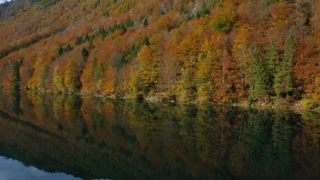 美丽的奥地利秋天Langbathsee湖与五颜六色的红色树木在岸边视频素材