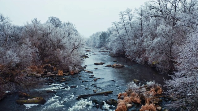 在冬天飞过狭窄的河流。河边被雪覆盖的树。许多大石头在美丽的雪山自然背景上。视频素材