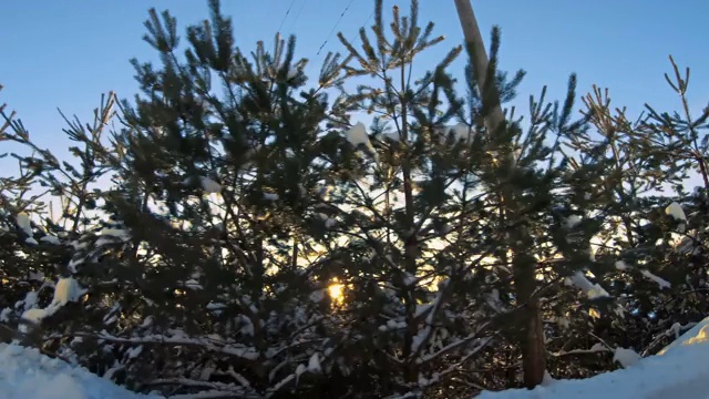 冬季汽车自驾游。夕阳照在山路上，松树上覆盖着积雪。视频素材