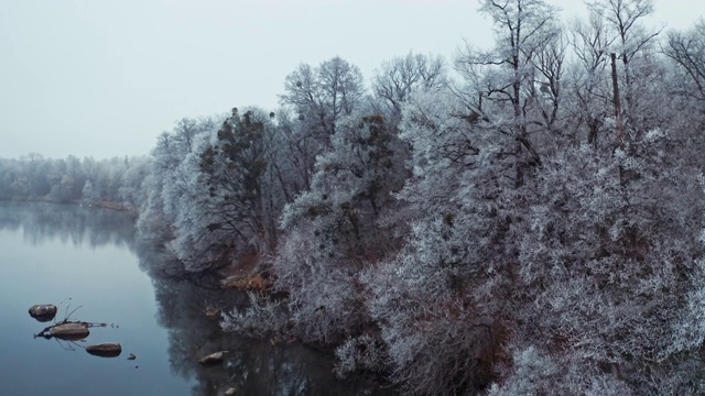 冬季森林附近的浅河。无人机拍摄的河边积雪的树木。冬天树木被霜覆盖。视频素材