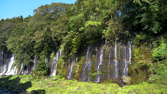 日本白斋山上的小瀑布视频素材