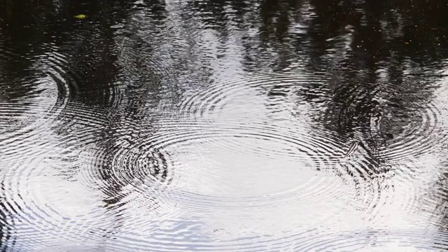 雨滴落在水面上视频素材