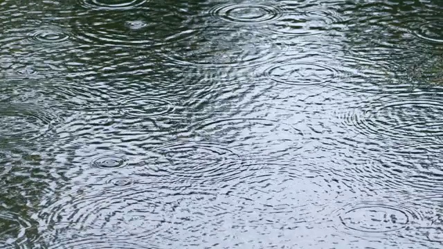 雨滴落在水面上视频素材