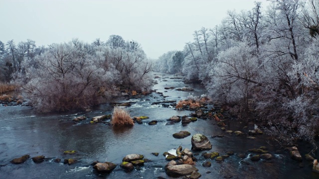 河流在树木之间的冬天。水面上飘雪的树木。美丽的自然风景在冬季。视频素材