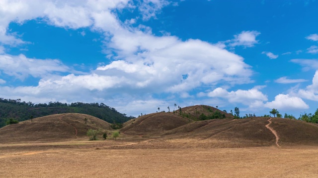 金草或秃山山，风景公园拉廊，泰国-时光流逝视频素材