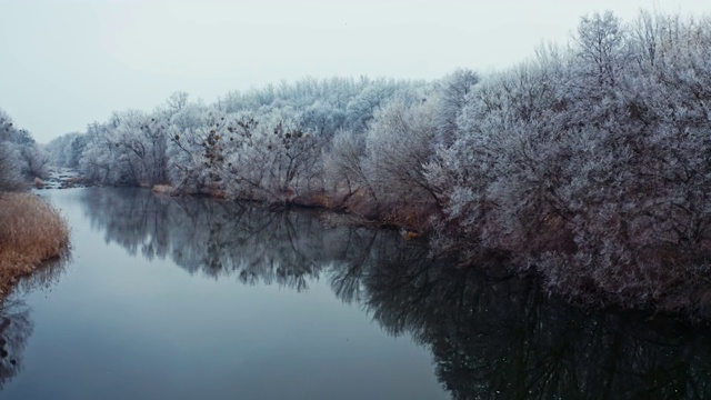 大自然的冬季景观。河水平静。美丽的树上覆盖着白霜。冬天在水中倒映的树木。视频素材