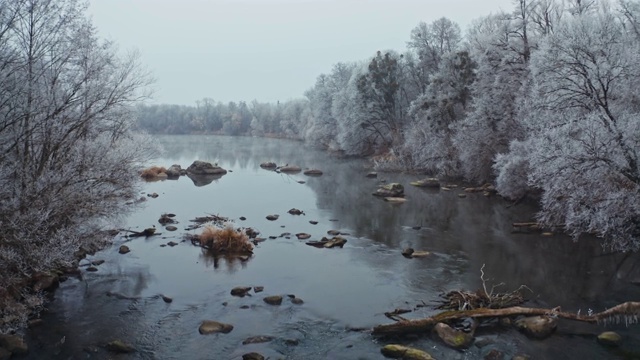 美丽的河流在冬季。飞过白雪覆盖的树林，在河的两岸。无人机的观点。视频素材