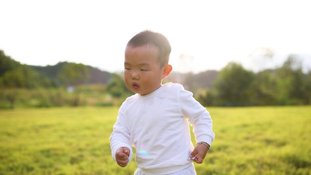 秋天，小男孩在草坪上散步视频素材