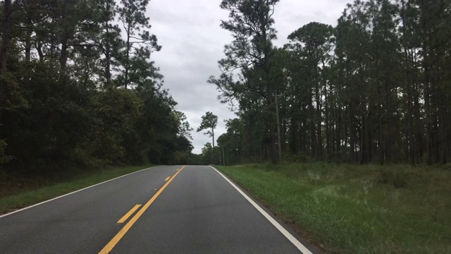 司机POV铺设的道路通过曲折，丘陵松林视频素材