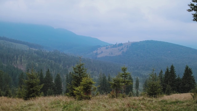 美丽的山的风景。模糊的山脉被绿色的森林覆盖着。山上的小针叶树。视频素材