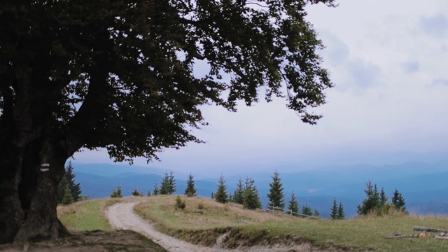 自然景观在山区。夏天群山模糊的背景上长着一棵绿树。山上的小路。视频素材