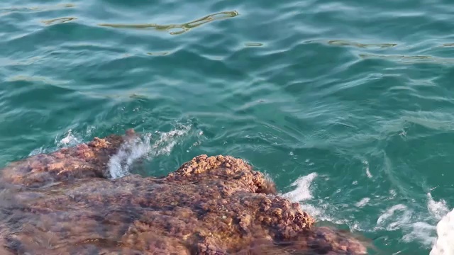 碧绿的海浪冲击着海岸上的岩石视频素材