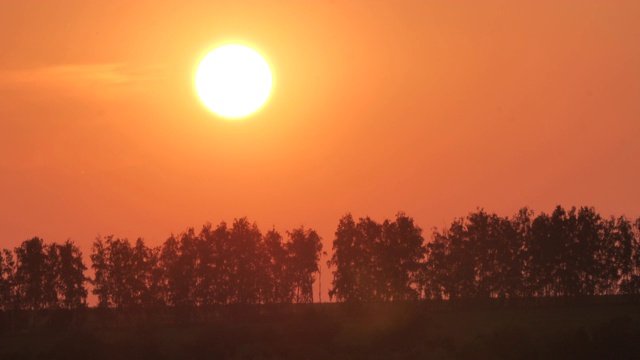 夏天的俄罗斯，太阳在树木的背景下从地平线上落下视频素材