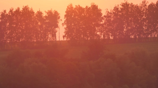 夏天的俄罗斯，太阳在树木的背景下从地平线上落下视频素材